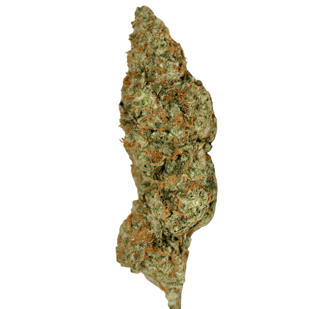 Super Lemon Haze THC Heaven Cannabis Delivery Within 2 Hours In super-lemon-haze-thc-heaven-cannabis-delivery-within-2-hours-in