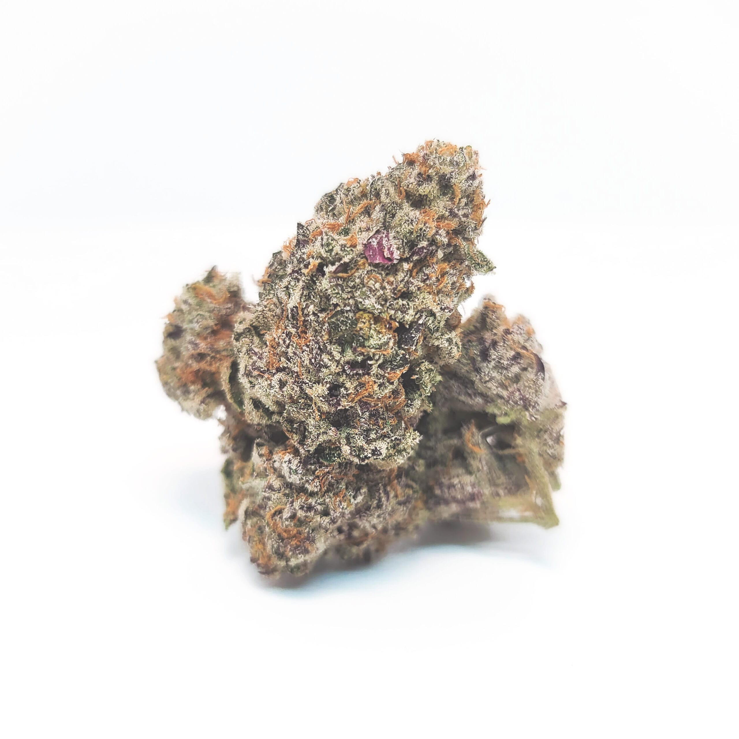 PurplePunch1