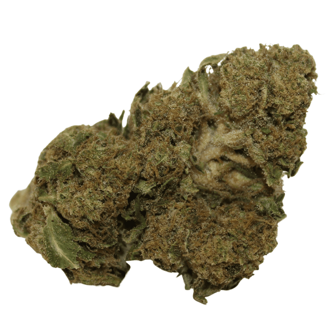 Critical Kush Indica